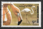 Stamps Afghanistan -  Afganistan