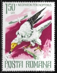 Stamps Europe - Romania -  Aves - Neophron percnopterus