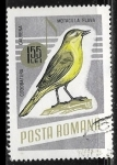 Stamps : Europe : Romania :  Aves - Motacilla flava