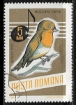 Stamps Europe - Romania -  Aves - Ficedula parva