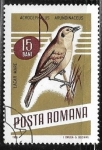 Sellos del Mundo : Europe : Romania : Aves - Acrocephalus arundinaceus