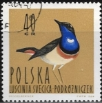 Stamps : Europe : Poland :  Aves - Luscinia svecica cyanecula
