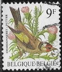 Stamps South Africa -  Aves - Ispidina picta