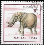Stamps : Europe : Hungary :  Animales prehistoricos - Platybelodon