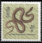 Stamps Europe - Poland -  Reptiles - Coronella austriaca