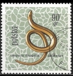Sellos de Europa - Polonia -  Reptiles - Anguis fragilis