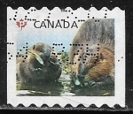 Stamps : America : Canada :  Animales - Castor canadensis