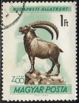 Stamps Hungary -  Animales - Capra ibex)
