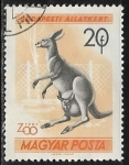 Stamps Europe - Hungary -  Animales - Canguro