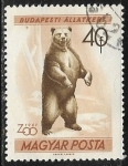Stamps : Europe : Hungary :  Animales -Ursus arctos
