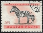 Stamps : Europe : Hungary :  Animales - Cebra