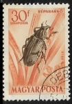 Stamps : Europe : Hungary :  Insectos  - Escrabajo