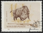 Stamps Hungary -  Animales - Sus scrofa