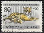 Stamps Hungary -  Zoologico de Budapest - Tigre