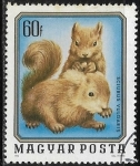 Stamps Hungary -  Ardillas -  Sciurus vulgaris