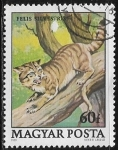 Stamps Hungary -  Felinos - Felis silvestris