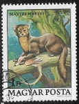 Stamps Hungary -  Animales - Martes martes