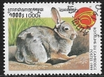 sello : Asia : Camboya : Conejos - Rabbit