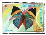 Sellos de Africa - Guinea Ecuatorial -  77-05 - Hoja de Roble India