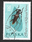 Sellos de Europa - Polonia -  1032 - Capricornio Mayor