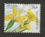  de Europa - Rusia -  8254 - Flor, Iris vorobievii