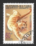 Stamps Europe - Bulgaria -  4032 - Tabby Europeo