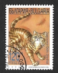 Stamps Europe - Bulgaria -  4034 - Exótico Pelo Corto