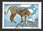Stamps Hungary -  C427A - Guepardo