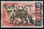 Stamps Kenya -  Animales - Otocyon megalotis