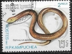 Sellos de Asia - Camboya -  Reptiles - Ophisaurus apodus