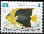 Stamps : America : Cuba :  Peces de Aquario - Holacanthus tricolor