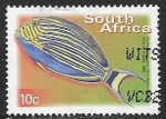 Stamps : Africa : South_Africa :  Peces - Acanthurus lineatus