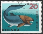 Stamps : Europe : Poland :  Animales prehistoricos - 