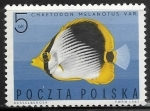 Stamps : Europe : Poland :  Peces - Chaetodon melanotus