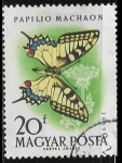 Stamps : Europe : Hungary :  Mariposas - Papilio machaon