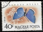 Stamps Hungary -  Mariposas - Lysandra hylas