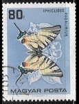 Stamps : Europe : Hungary :  Mariposas - Iphiclides podalirius