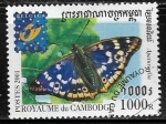 Stamps : Asia : Cambodia :  Mariposas - Apatura ilia