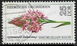 sello : Europa : Alemania : Flores - Pyramidal Orchid 