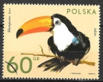 Sellos de Europa - Polonia -  Aves
