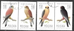 Stamps : Europe : Poland :  Aves