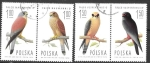 Stamps Poland -  Aves