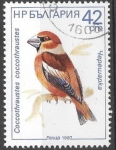 Stamps : Europe : Bulgaria :  Aves