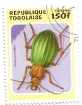 Stamps Togo -  Coleóptero
