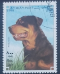 Sellos de Asia - Afganistn -  Rottweiler