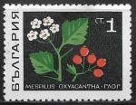 Stamps Bulgaria -  Flores - Matricaria chamomilla