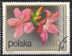 Stamps : Europe : Poland :  Flores - Rhododendron japonicus