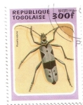 Stamps Togo -  Coleóptero