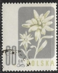 Sellos del Mundo : Europa : Polonia : Flores - Leontopodium alpinum