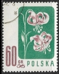 Stamps Europe - Poland -  Flores - Lilium martagon